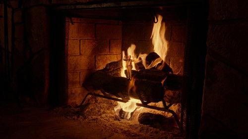 Adult Swim Yule Log filmas žiurėti online