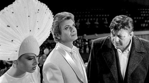 Tender Spots filmas žiurėti online