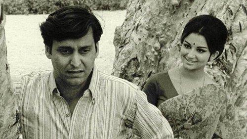 Days and Nights in the Forest filmas žiurėti online