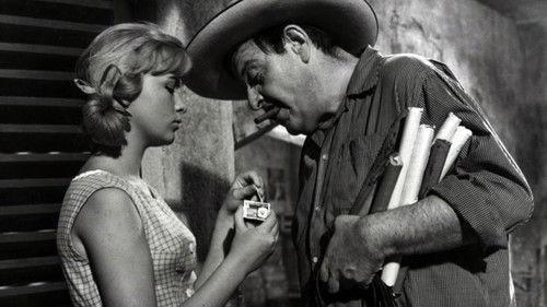 It Is Better to Know How filmas žiurėti online