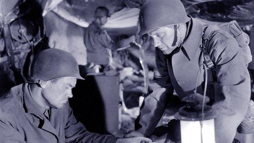 Force of Arms filmas žiurėti online