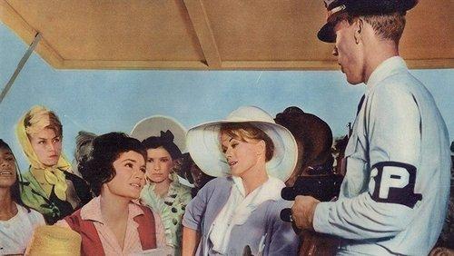 Follow the Boys filmas žiurėti online