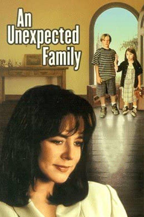 An Unexpected Family filmas online