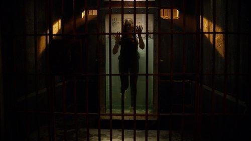 Sek paskui mane filmas žiurėti online