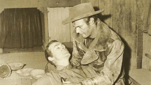 Gun Fever filmas žiurėti online