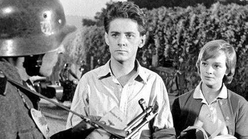 Vyšší princip filmas žiurėti online