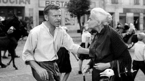 The Shop on Main Street filmas žiurėti online