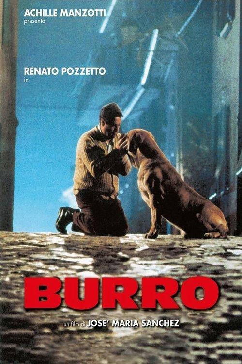 Burro filmas online