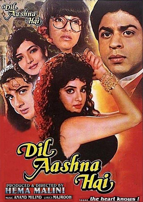 Dil Aashna Hai filmas online