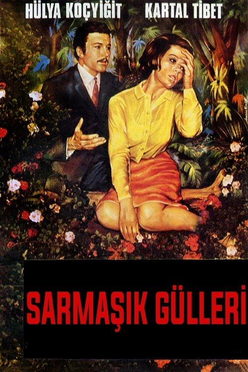 Sarmaşık Gülleri filmas online