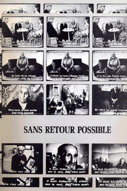 Sans retour possible filmas online