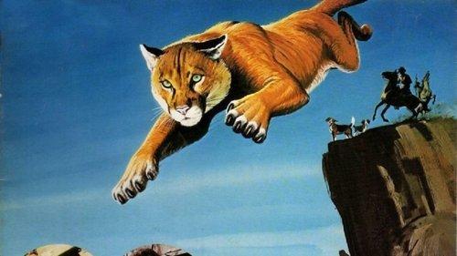 Run, Cougar, Run filmas žiurėti online