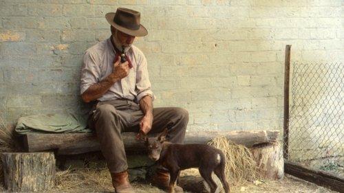 Dusty filmas žiurėti online