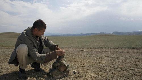 Wild Field filmas žiurėti online