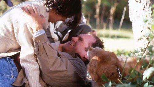 The Familiar Stranger filmas žiurėti online