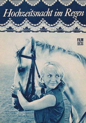 Wedding Night In The Drizzle filmas online