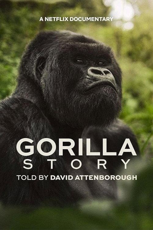 A Gorilla Story: Told by David Attenborough filmas online