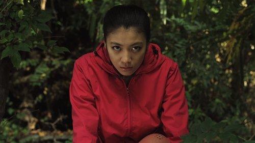 Greatful Dead filmas žiurėti online