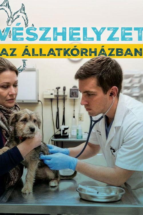 Vészhelyzet az állatkórházban filmas online