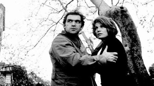 In the name of the law filmas žiurėti online