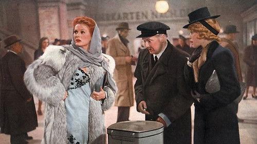 The Woman of My Dreams filmas žiurėti online