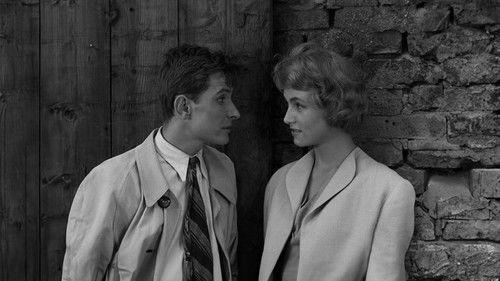 Nikt nie woła filmas žiurėti online