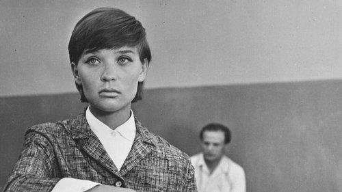 Not the Most Lucky Day filmas žiurėti online