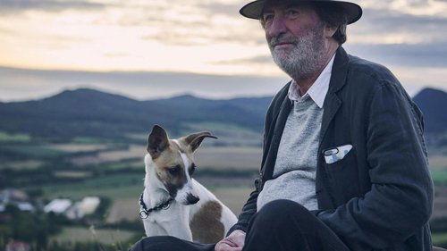 Gump – pes, který naučil lidi žít filmas žiurėti online