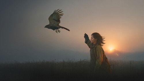 Aš esu vanagas filmas žiurėti online