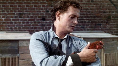 Solemn Communion filmas žiurėti online