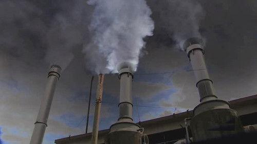 Red Torrent filmas žiurėti online