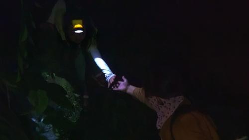 Beyond Utopia filmas žiurėti online