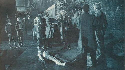 Blackout filmas žiurėti online