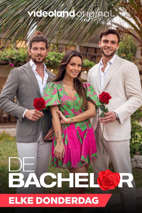 De Bachelor filmas online