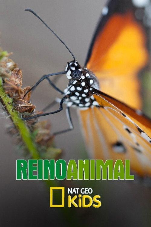 Reino Animal filmas online
