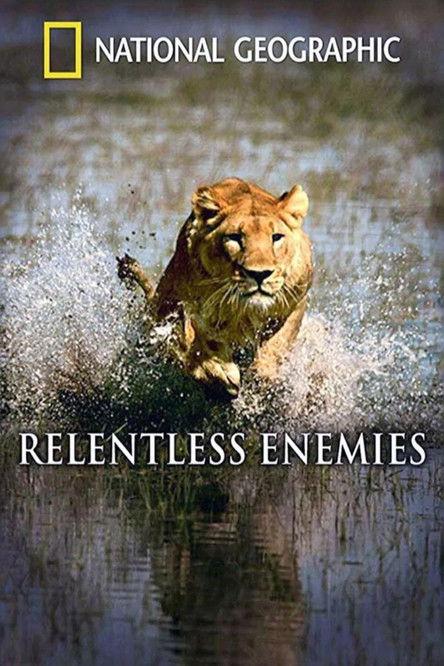Relentless Enemies: Lions and Buffalo filmas online