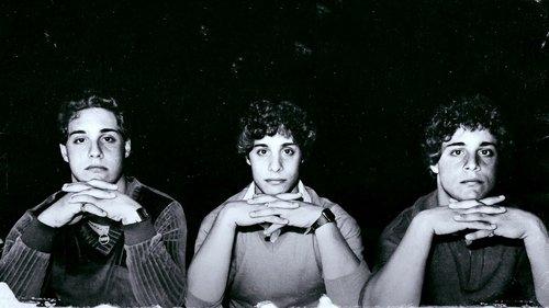 Three Identical Strangers filmas žiurėti online