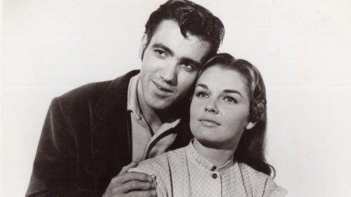 The Little Shepherd Of Kingdom Come filmas žiurėti online