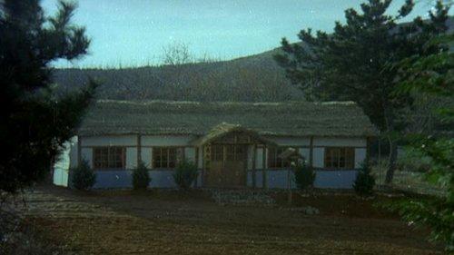 The Evergreen Tree filmas žiurėti online