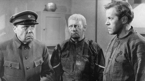 Ristikon varjossa filmas žiurėti online