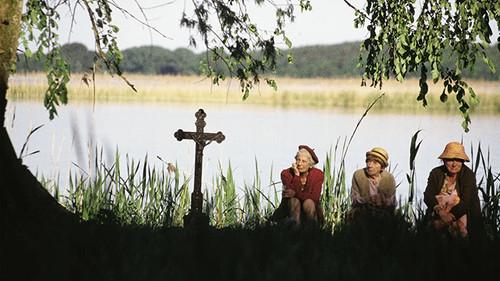 Now or Never filmas žiurėti online