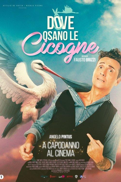Dove osano le cicogne filmas online