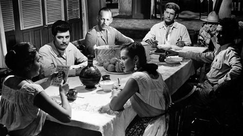 Rosa blanca filmas žiurėti online