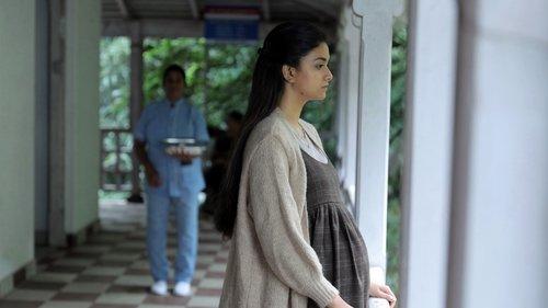 Penguin filmas žiurėti online