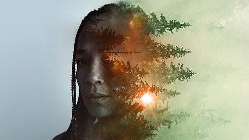 Sheltering Season filmas žiurėti online