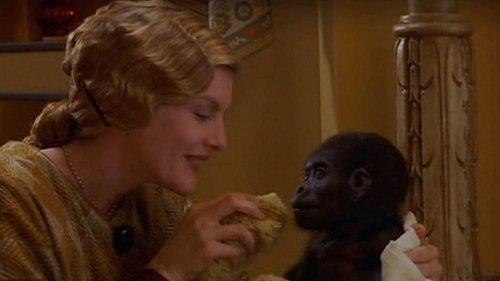 Buddy filmas žiurėti online