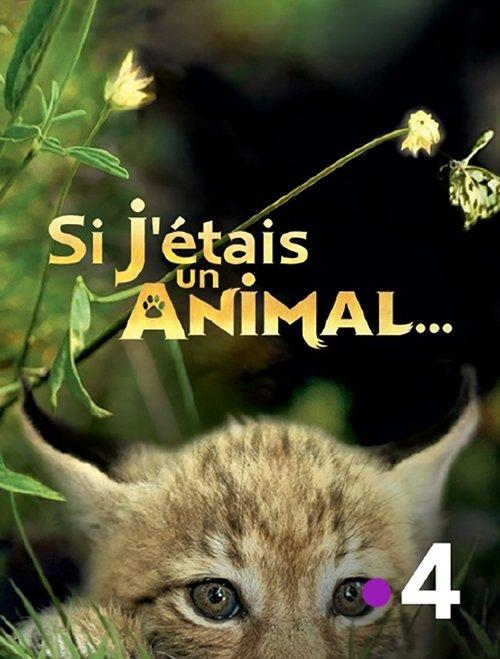 Si J'étais un animal filmas online