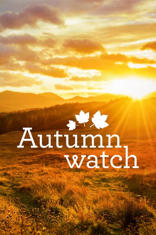 Autumnwatch filmas online