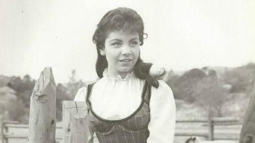 Six Gun Law filmas žiurėti online