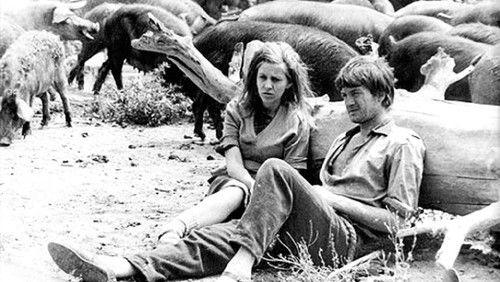 Биће скоро пропаст света filmas žiurėti online